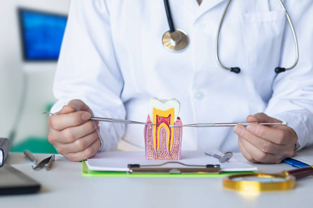Best Orthodontic Emergency Dentist in Corry, PA
